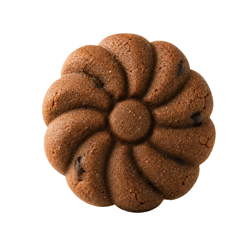 Choco Cashew Wheat Cookies